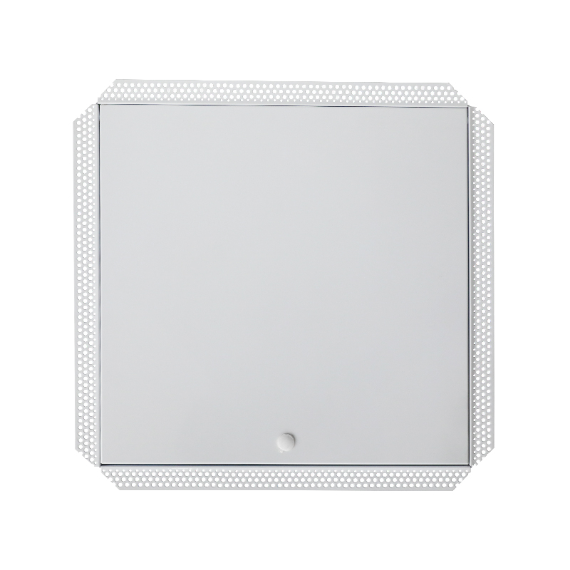 SS-AP251 Стальная панель доступа